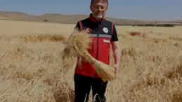 Bakan Yumaklı TMO Hububat Alım Ödemeleri Hakkında Bilgi Verdi