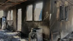Beş İlde Orman Yangını Sonrası Hasar Tespit Çalışmaları Bitti