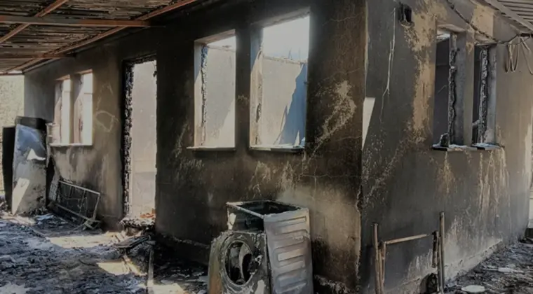 Beş İlde Orman Yangını Sonrası Hasar Tespit Çalışmaları Bitti
