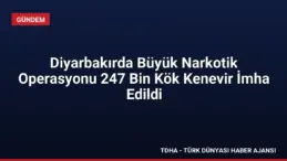 Diyarbakırda Büyük Narkotik Operasyonu 247 Bin Kök Kenevir İmha Edildi