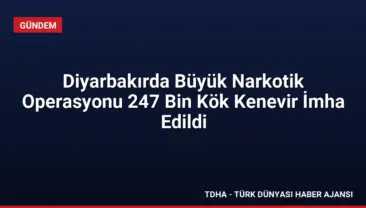 Diyarbakırda Büyük Narkotik Operasyonu 247 Bin Kök Kenevir İmha Edildi