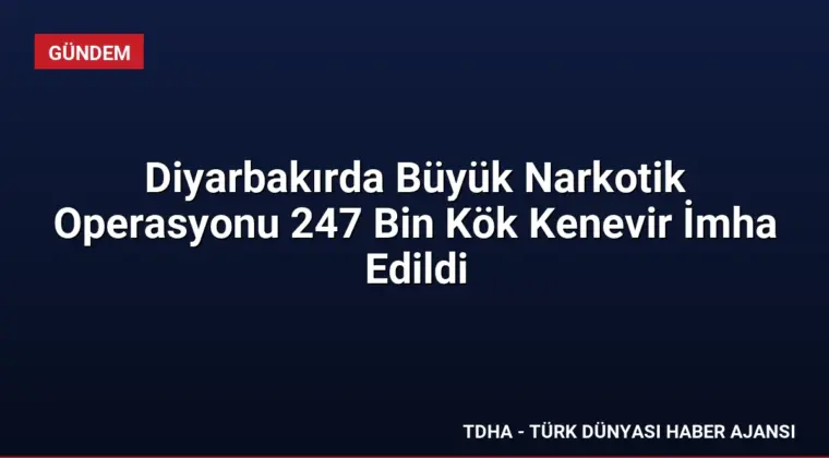 Diyarbakırda Büyük Narkotik Operasyonu 247 Bin Kök Kenevir İmha Edildi