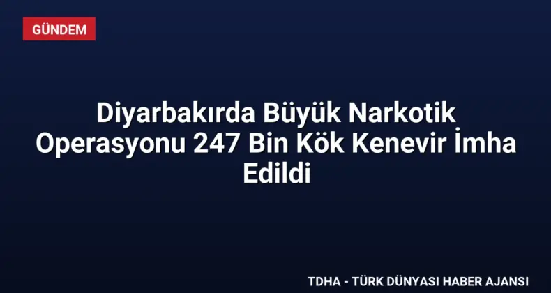 Diyarbakırda Büyük Narkotik Operasyonu 247 Bin Kök Kenevir İmha Edildi