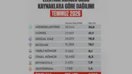 Türkiye Elektrik Kurulu Gücü 126 Bin Megavatı Aştı