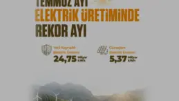 Türkiye Elektrik Üretiminde Temmuz Ayında Çifte Rekor Kırdı