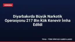 Diyarbakırda Büyük Narkotik Operasyonu 217 Bin Kök Kenevir İmha Edildi