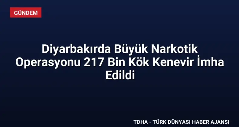 Diyarbakırda Büyük Narkotik Operasyonu 217 Bin Kök Kenevir İmha Edildi