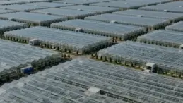 Şırnak Silopi Sera Organize Tarım Bölgesi Ekonomiye Büyük Katkı Sunacak