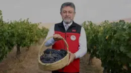 TMO Hububat Alımında Cumhuriyet Tarihi Rekorunu Kırdı