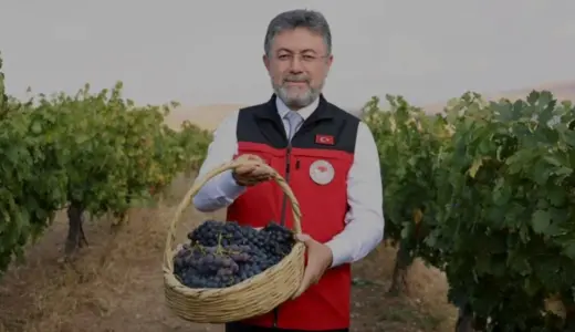 TMO Hububat Alımında Cumhuriyet Tarihi Rekorunu Kırdı