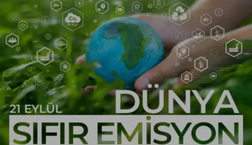 Türkiye Yenilenebilir Enerji Hamlesiyle Karbon Emisyonunu Düşürüyor