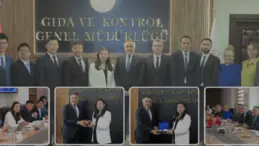 Çin ve Türkiye Arasında Kanatlı Eti İhracatı İçin Teknik Görüşme