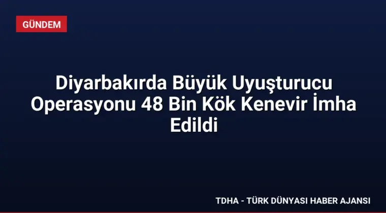 Diyarbakırda Büyük Uyuşturucu Operasyonu 48 Bin Kök Kenevir İmha Edildi