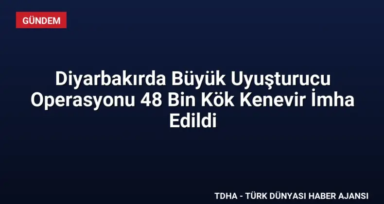 Diyarbakırda Büyük Uyuşturucu Operasyonu 48 Bin Kök Kenevir İmha Edildi