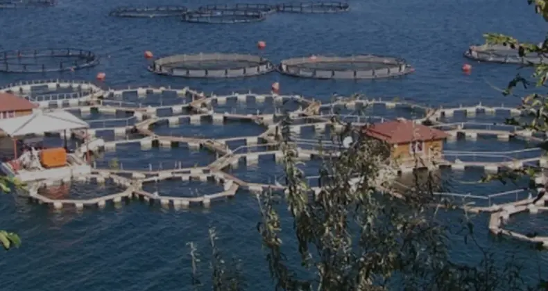 IPARD III Programı 11 Başvuru Çağrısı Sonuçları Belli Oldu