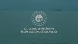 Kocaeli Sekapark sahilindeki kirliliğe neden olan firmaya ağır ceza