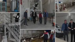 Nevşehir Kırsalında Modern Tarım Hamlesi İki Yeni Tesisle Başladı