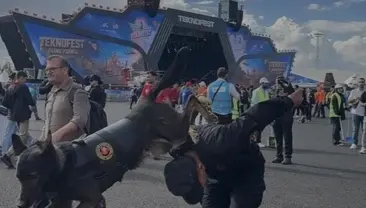 TEKNOFEST Güneydoğu’da JÖAK Operasyon Köpeklerine Büyük İlgi