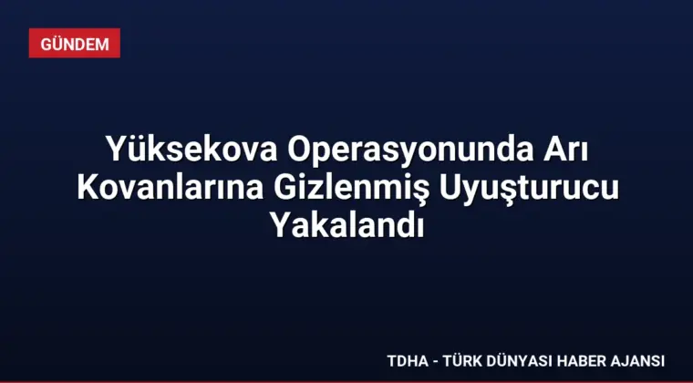 Yüksekova Operasyonunda Arı Kovanlarına Gizlenmiş Uyuşturucu Yakalandı