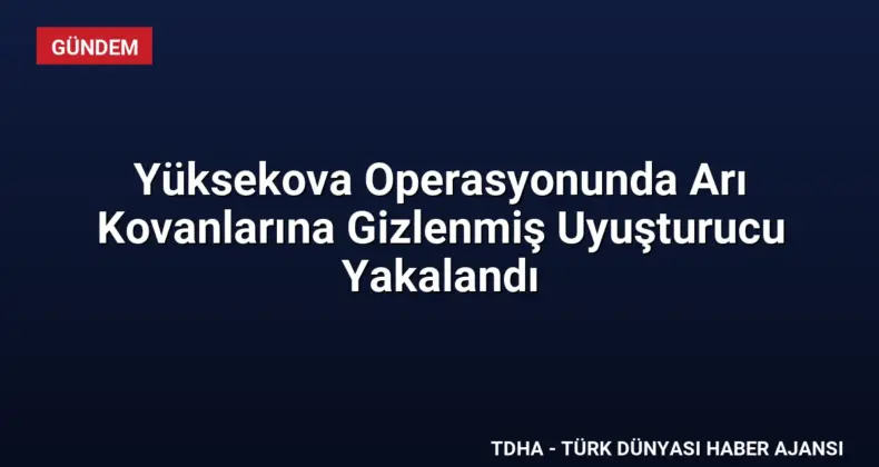 Yüksekova Operasyonunda Arı Kovanlarına Gizlenmiş Uyuşturucu Yakalandı